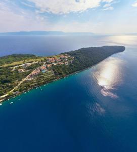 Apartments Alenka by the sea