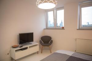 Willow Pillow Nowowiejska