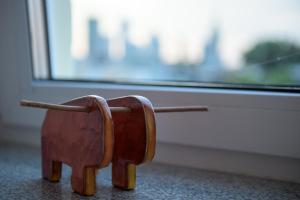 Willow Pillow Nowowiejska