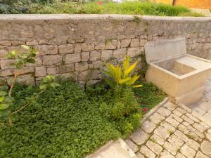 Garden&House Amore Vero