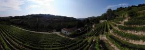 Marcarini Agriturismo