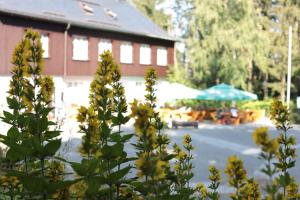 Hotell Bürger- und Berggasthaus Scheibenberg Scheibenberg Saksamaa