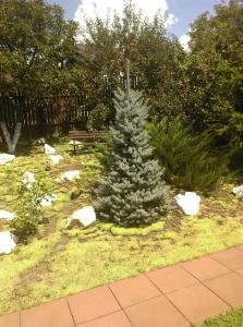 Vila Paula & SPA -ALL INCLUSIVE