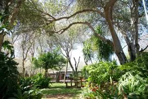 Maroela Gardens Guesthouse - Gwarriehoek