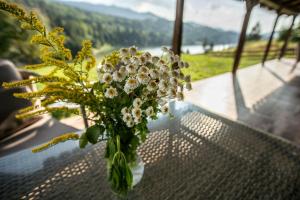 Casa de vacanța La Mamuca