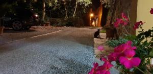 Mansarda degli Ulivi