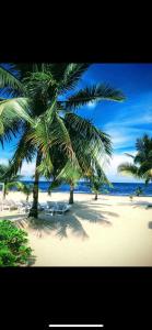 Caribbean Beach Cabanas