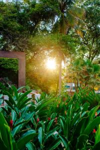 Palo Verde Sustainable Hotel