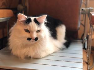 Guest house Roji to Akari