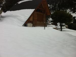 Chalet in the Forest Achaia Greece