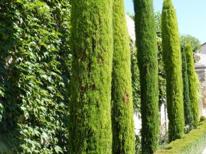 B&B / Chambres d'hotes Chateau du Grand Jardin : photos des chambres
