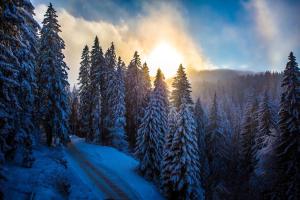 Sunny Hills Ski&Wellness