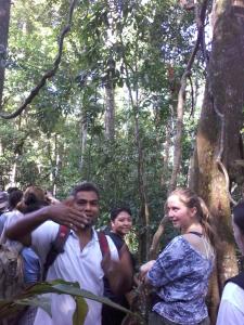 ORANGUTANTREKSUMATRA & LOVELY JUNGLE LODGE only book IF you are treking with us