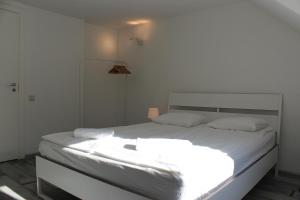 Three-Bedroom Apartment on Peldu 19