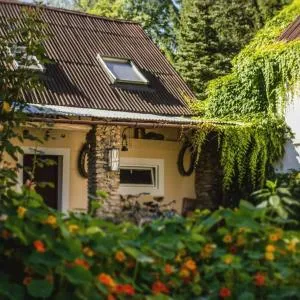 W Starym Ogrodzie - 希维拉杜夫-兹德鲁伊