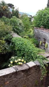 Two-Bedroom Apartment with Balcony room in Appartamenti Raineri