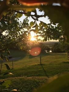 Maisons d'hotes Le Domaine des Terres Blanches : photos des chambres