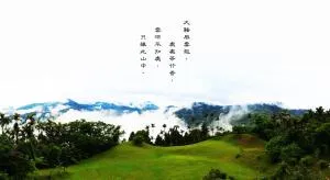 Foggy Wonderland - Jiji