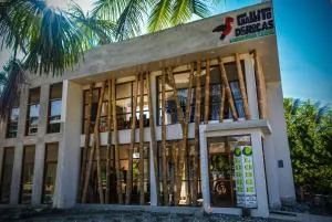 Manu Gallito de las Rocas - Manire