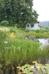 Maisons de vacances gite 