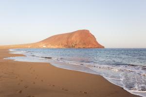 Paradise palms Apartments