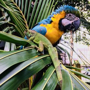 Panama House Bed & Breakfast