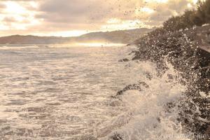 Appartements Front de Mer : photos des chambres