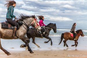Appartements Front de Mer : photos des chambres