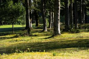 Hotels La Chapelle Saint Martin : photos des chambres