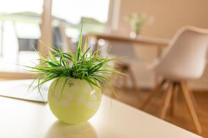 Ferienwohnungen "Am Mühlenberg"