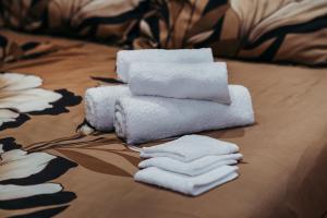 Comfortable apartment near Opera House