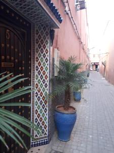 Les Rêves De Marrakech