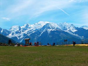 Chalets Les Edelweiss Mont-Blanc : photos des chambres