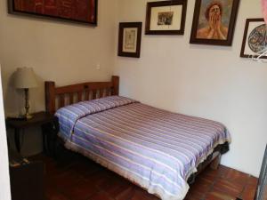 Olga Querida B&B Hostal