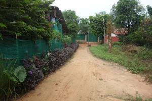 Authentic Cambodian Angkor Cottage
