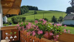 Ferienwohnung Bergblick