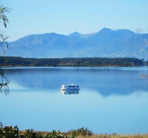 Bronte Tides Cottage - Mapua