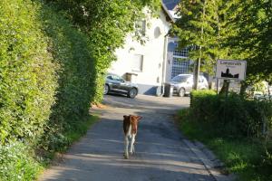 Vakantiehuis De Lounge