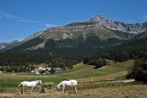 Chalets Chalet du champ Martel : photos des chambres