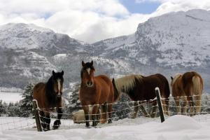 Chalets Chalet du champ Martel : photos des chambres