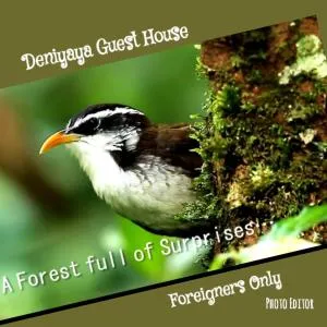 德尼亚旅馆 - Ittekanda