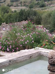 Casa Rural Caseta de l Hort