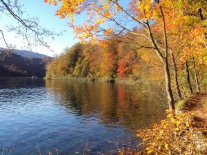 PLITVICE LAKES KONAK Daic