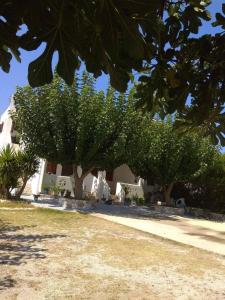 Athena's Houses Skyros Greece