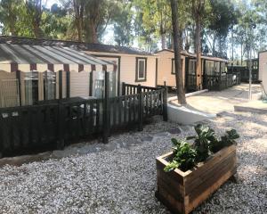 Villaggio Camping Golfo di Arzachena img57