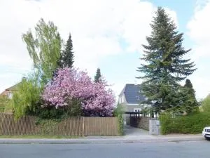 Kleiters Bed & Kitchen - Brøndbyvester