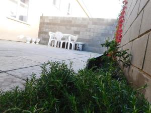 Bungalow with Patio room in Country House Mezhgorie