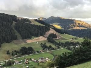 Appart'hotels La Ferme des Georgieres 