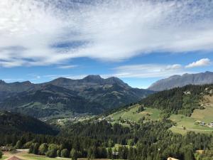 Appart'hotels La Ferme des Georgieres : photos des chambres