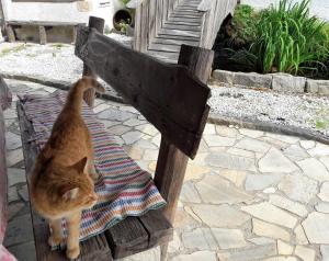 Ferienwohnung Öller